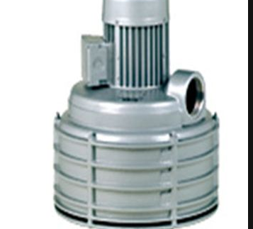 德國Elmo Rietschle離心風(fēng)機