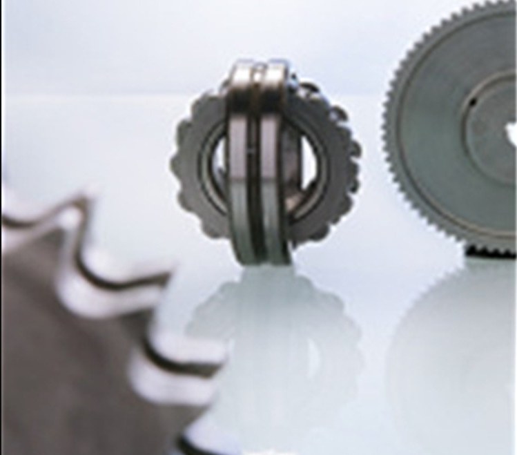 德國(guó)SAHLBERG軟管