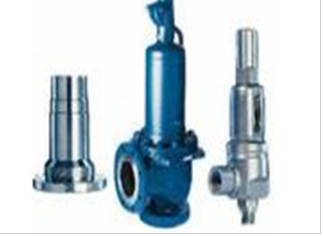 原裝銷售德國LESER安*閥