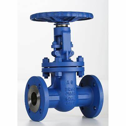 供應意大利Valvosider閥門、過濾器