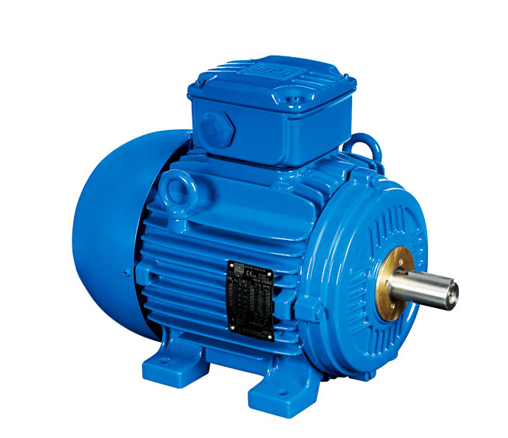 德國(guó)WEG電機(jī)